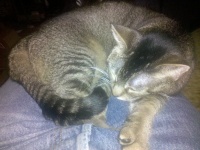 2010-03-05 19_32_46.jpg